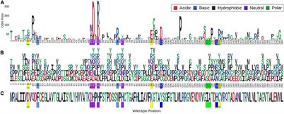 Structural and Genomic Insights Into Pyrazinamide Resistance in Mycobacterium tuberculosis Underlie Differences Between Ancient and Modern Lineages